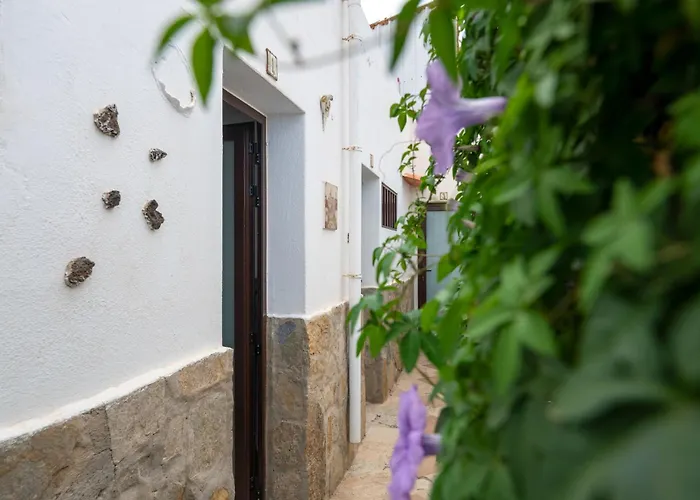 Vista Blanca 1 Lejlighed